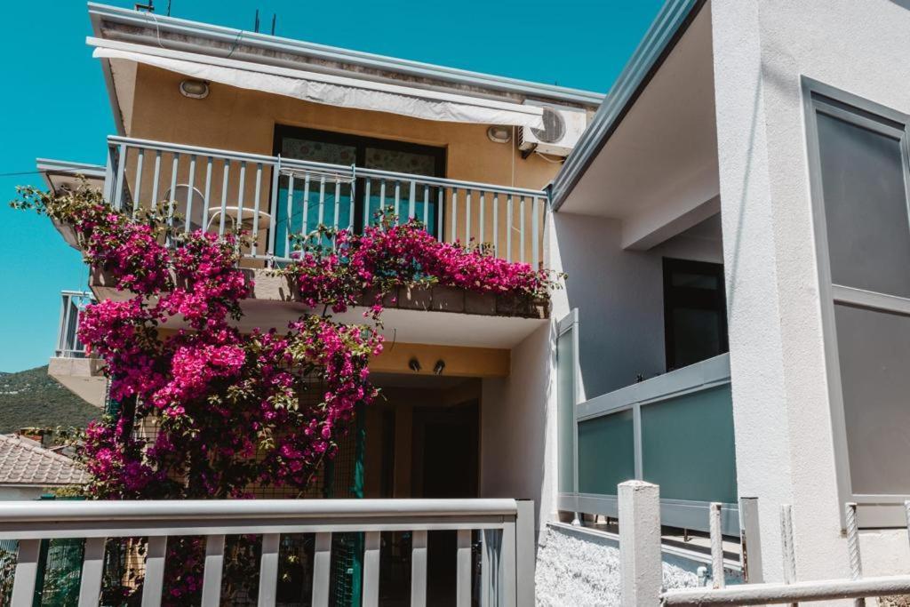 Ankica & Anamarija Apartments Neum Ngoại thất bức ảnh